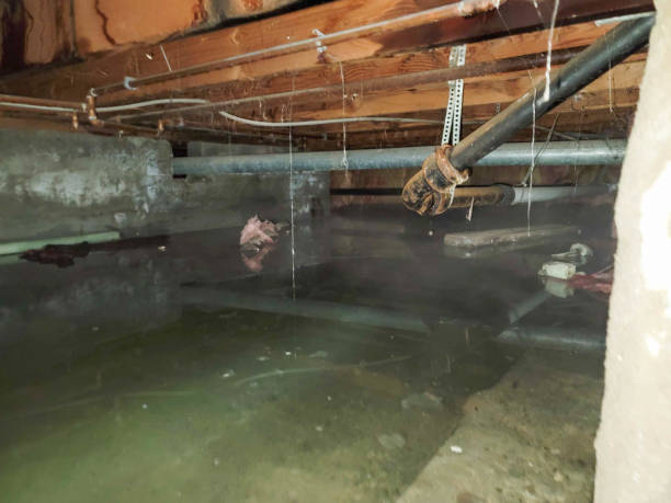 Best Emergency water damage restoration  in Essex Junction, VT