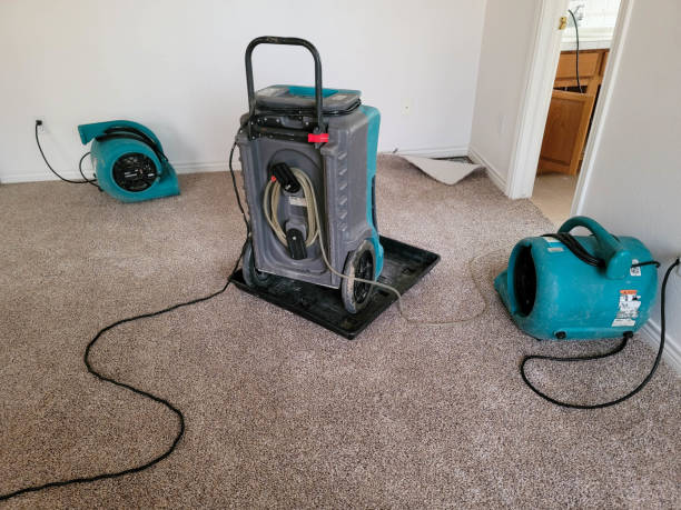 Best Residential water damage restoration  in Essex Junction, VT