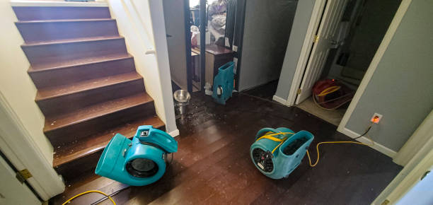 Best Commercial water damage restoration  in Essex Junction, VT