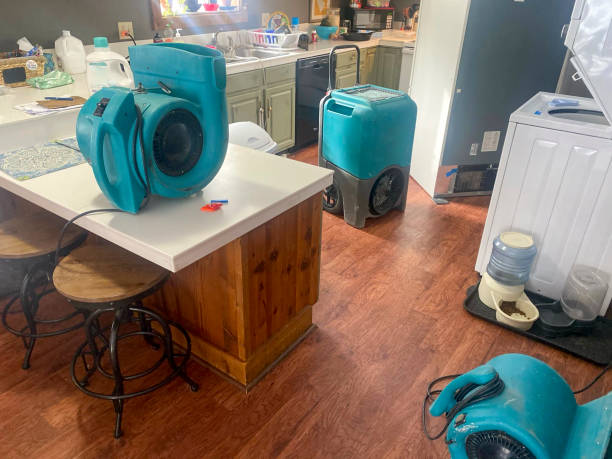 Best Mold removal after water damage  in Essex Junction, VT