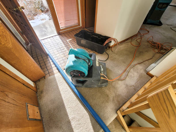 Best Flooded house restoration  in Essex Junction, VT