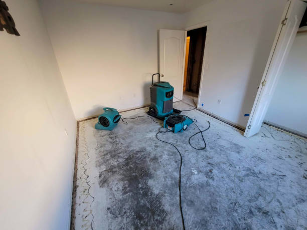Best Water damage mitigation services  in Essex Junction, VT