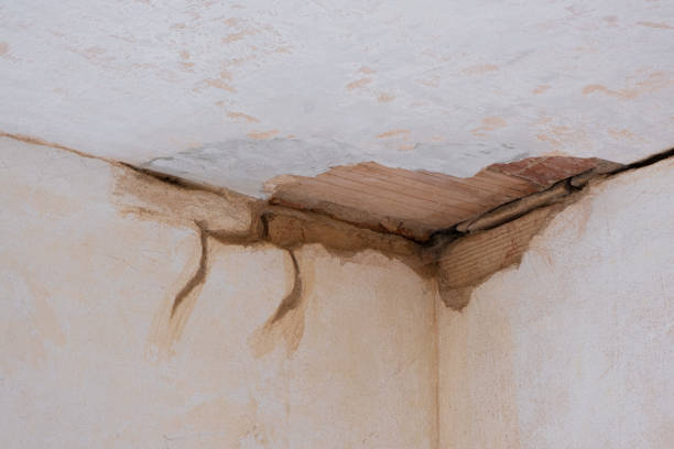 Best Water damage restoration near me  in Essex Junction, VT