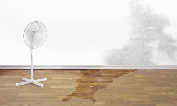 Professional Water damage restoration in Essex Junction, VT