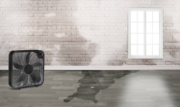 Trusted Essex Junction, VT Water damage restoration Experts