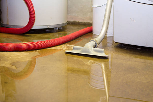 Best Sewage cleanup and water damage restoration  in Essex Junction, VT