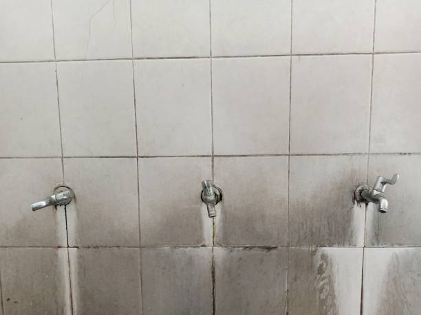 Best Carpet water damage restoration  in Essex Junction, VT