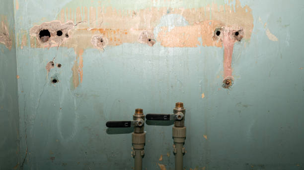 Best Water damage contractors near me  in Essex Junction, VT