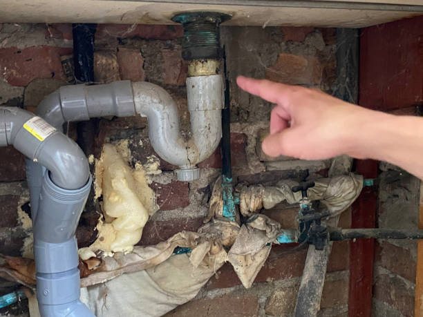 Best Basement water damage restoration  in Essex Junction, VT